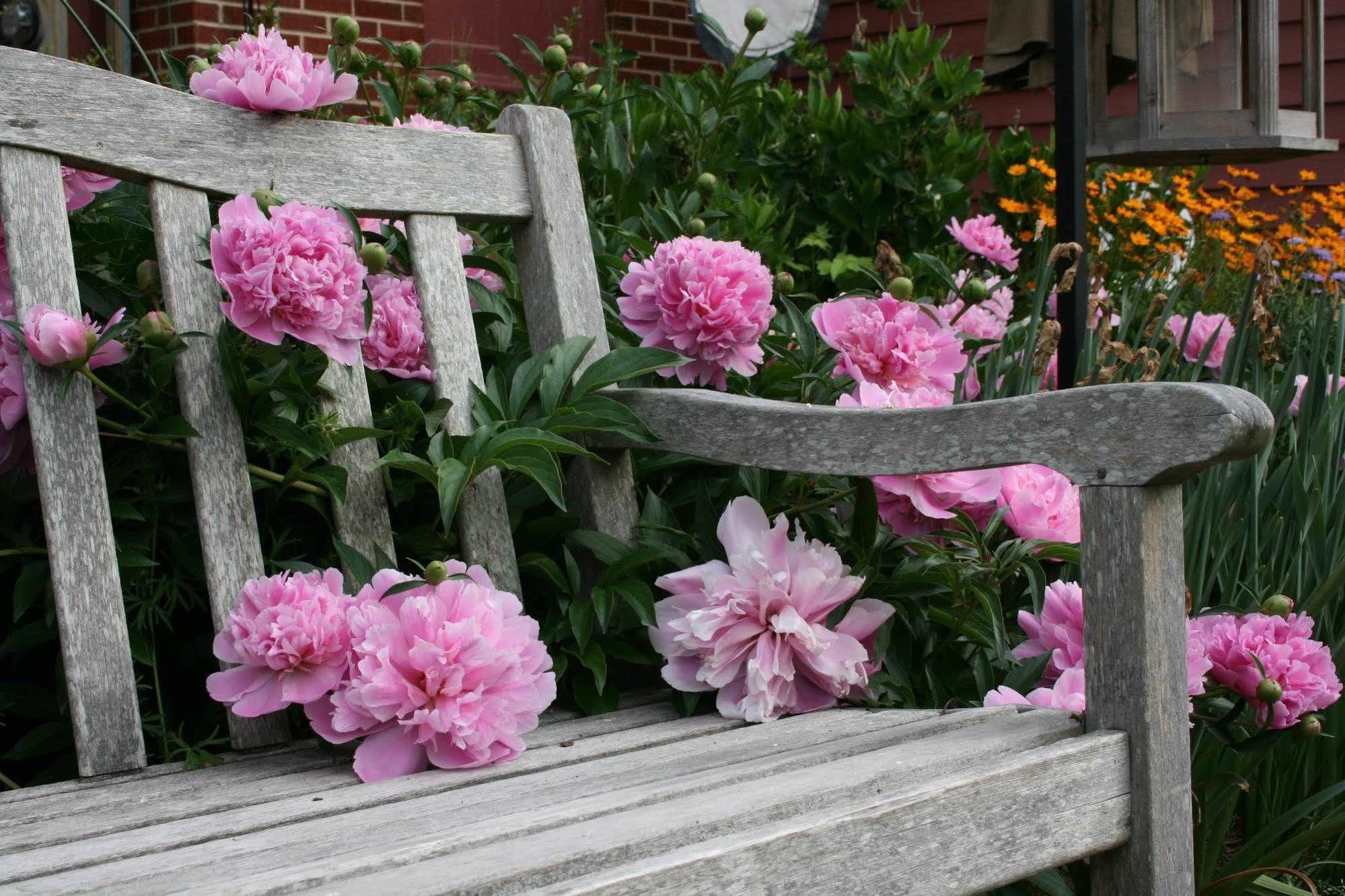 Williamsburg Manor B&B Экстерьер фото